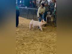 Kayla Truque James Madison FFA