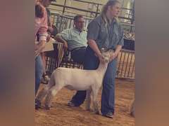 Madison  Peterson  James Madison FFA