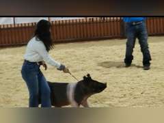 Kayla Truque James Madison FFA