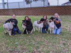 Catherine Gardner James Madison FFA