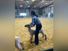 Celeste Gaona James Madison FFA