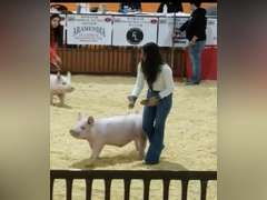 Kayla Truque James Madison FFA