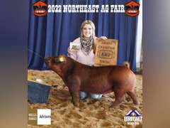 Mia Mendieta James Madison FFA