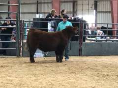 JT Trinidad James Madison FFA