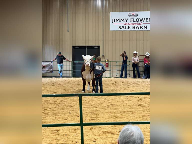 Caleb Luttrell The Stockyards