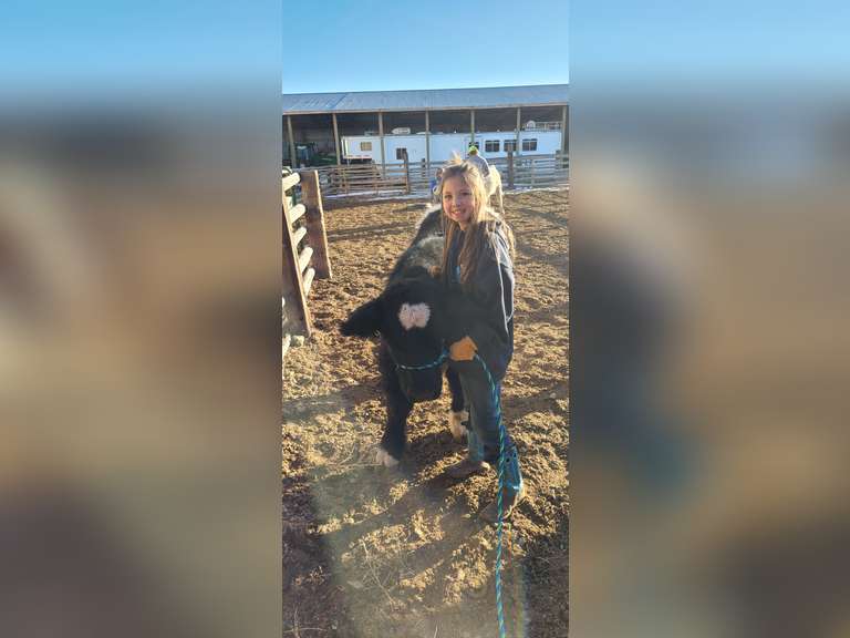 Krooklyn Nicolas Tabaguache