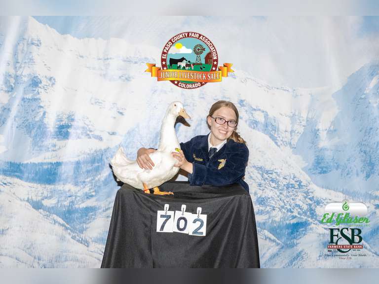 Holland "Holly"  Buchanan Falcon FFA Chapter