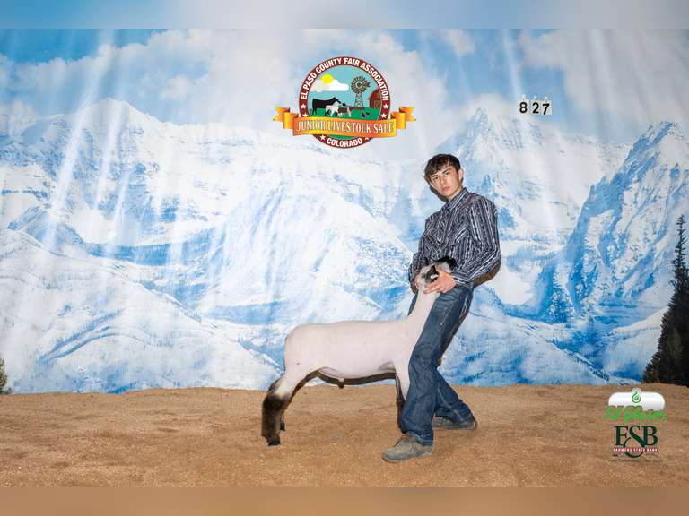 Caeden Livingston Greener Pastures