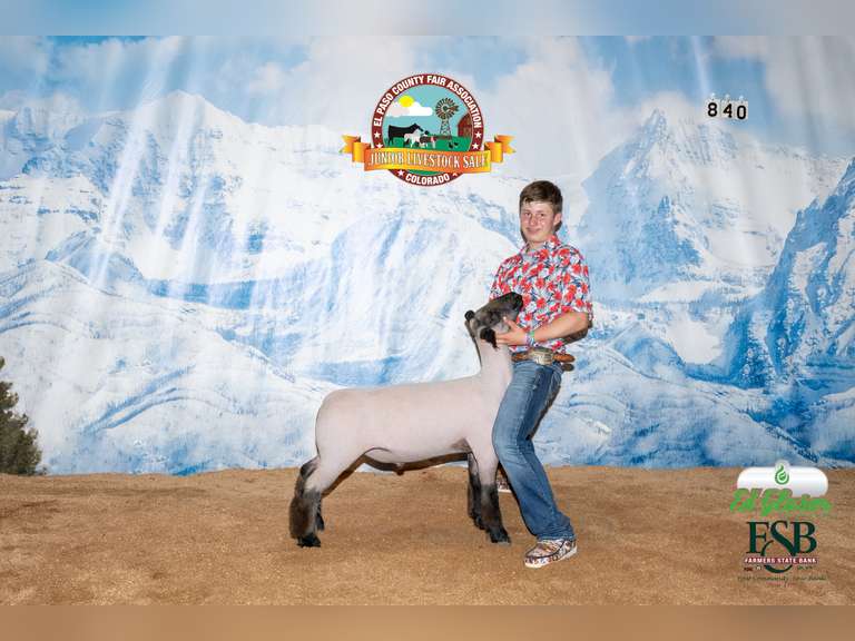 Cole Spurlock Grand Drive