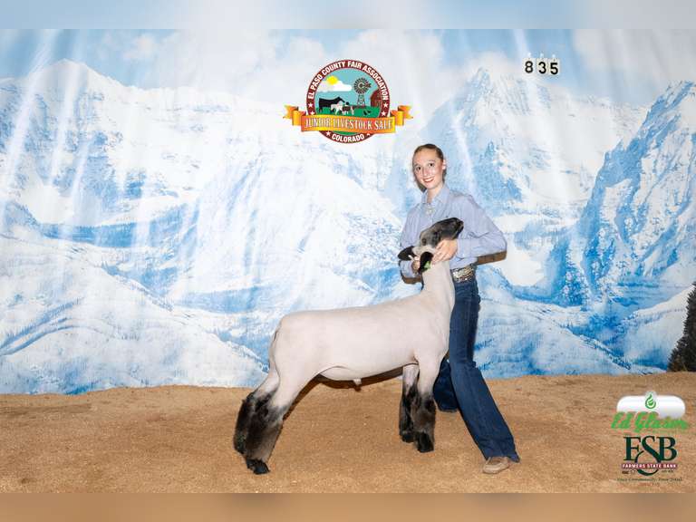 Lexi Vrabec Winner's Edge