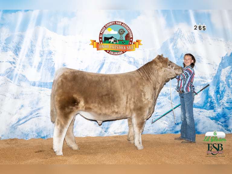 Kaylie Zeiger Calhan Ranch Hands