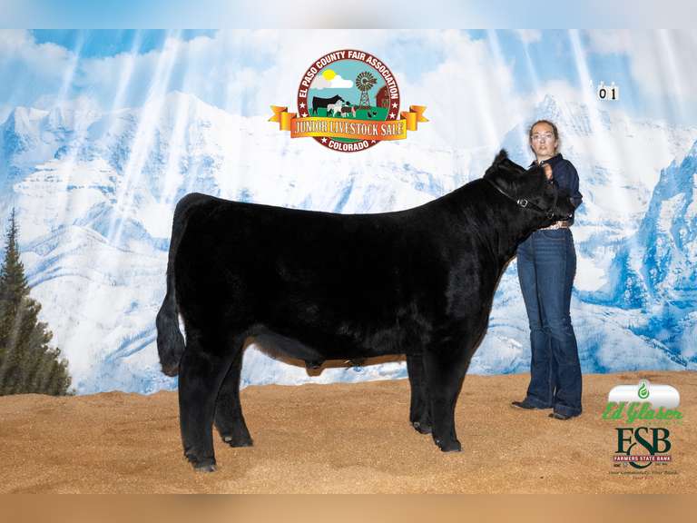 Irelynn Vandergriff Calhan FFA Chapter