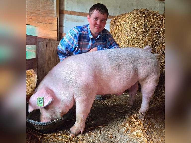 Brody Casper Carrollton FFA