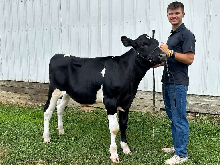 Quentin Rosenberger The Beef Club