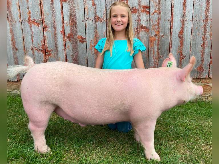 Kinsley Oyer Augusta Ranchers