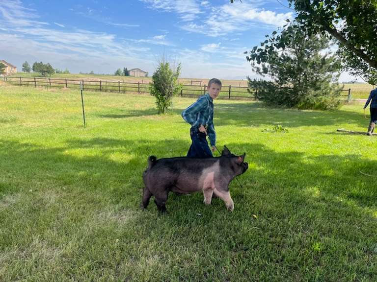 Azariah  Smith  Gold Creek 4-H