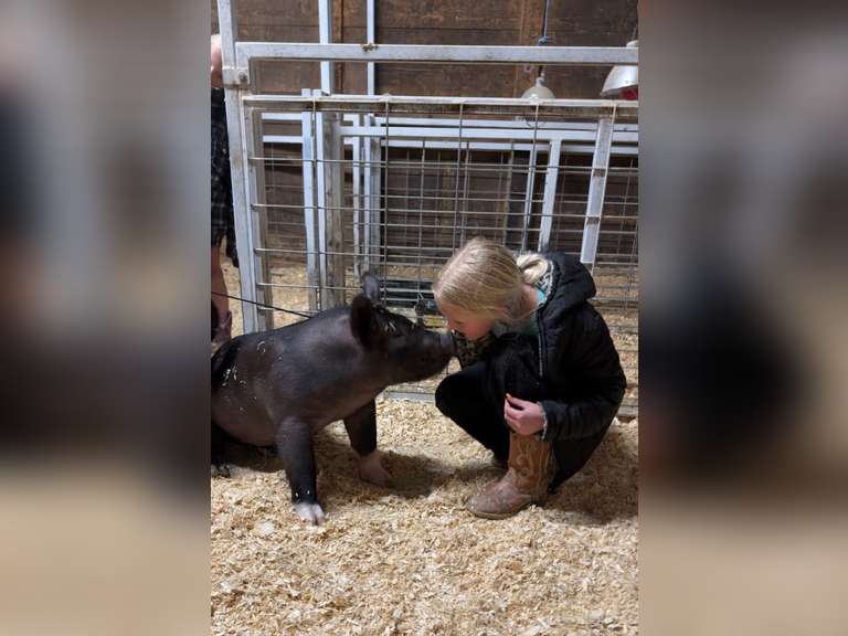 Kendra  Hundley   Comanche Creek 4-H Club