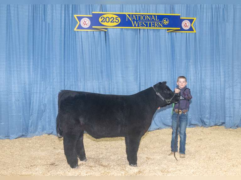 Case  Carnahan  Kiowa Community 4-H