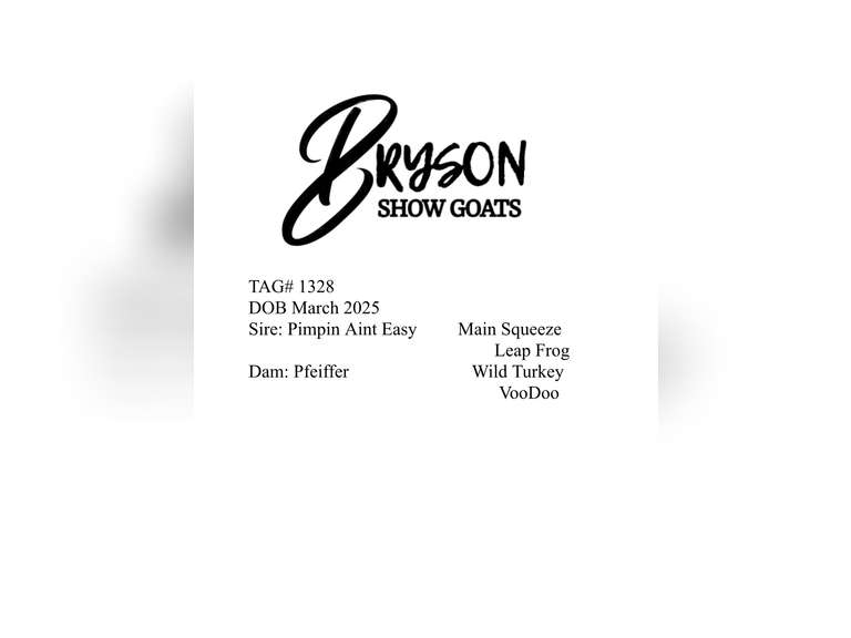 Bryson Show Goats  1328
