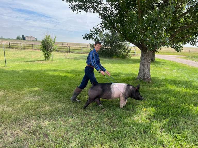 Malachi  Smith  Gold Creek 4-H