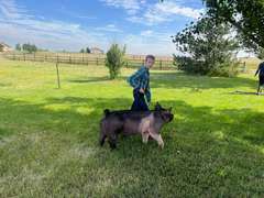 Azariah  Smith  Gold Creek 4-H