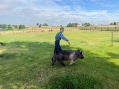 Azariah  Smith  Gold Creek 4-H