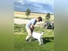 Dominic  Bellerdine  Angel Fire 4H