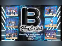 Bull Livestock   25103