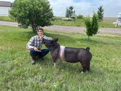 Josiah  Smith  Gold Creek 4-H