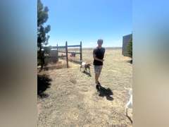Dominic  Bellerdine  Angel Fire 4H