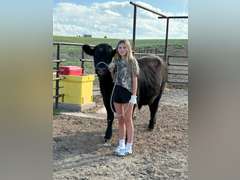 Ainsley   DeHoff  Comanche Creek