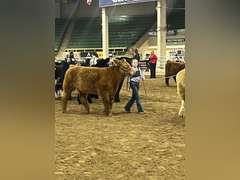 Saige  Carnahan  Kiowa Community 4-H