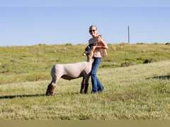 Tyler  Monks  Rural Rustlers