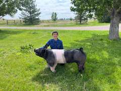 Malachi  Smith  Gold Creek 4-H