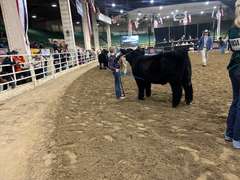 Case  Carnahan  Kiowa Community 4-H