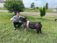 Josiah  Smith  Gold Creek 4-H
