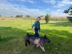 Azariah  Smith  Gold Creek 4-H