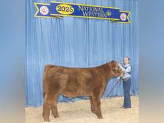 Saige  Carnahan  Kiowa Community 4-H