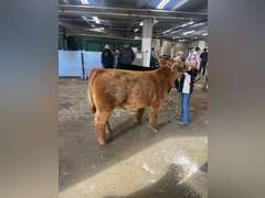 Saige  Carnahan  Kiowa Community 4-H