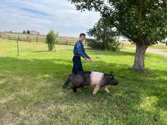 Malachi  Smith  Gold Creek 4-H