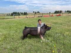 Josiah  Smith  Gold Creek 4-H