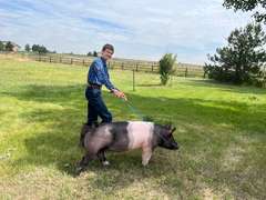 Malachi  Smith  Gold Creek 4-H