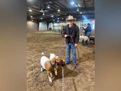 Dominic  Bellerdine  Angel Fire 4H