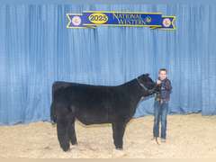 Case  Carnahan  Kiowa Community 4-H