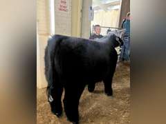 Case  Carnahan  Kiowa Community 4-H
