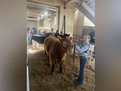 Saige  Carnahan  Kiowa Community 4-H