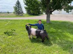 Malachi  Smith  Gold Creek 4-H