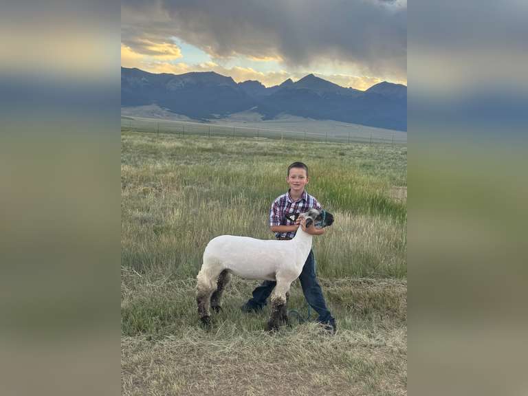 Keaton  Golovanoff  Trailblazers