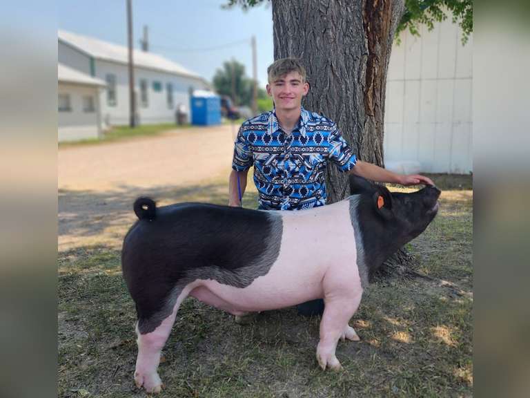 Jacob Allen  Crippen  Kiowa Community