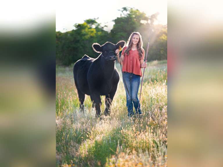 Kylie  Anderson  Gold Creek 4H